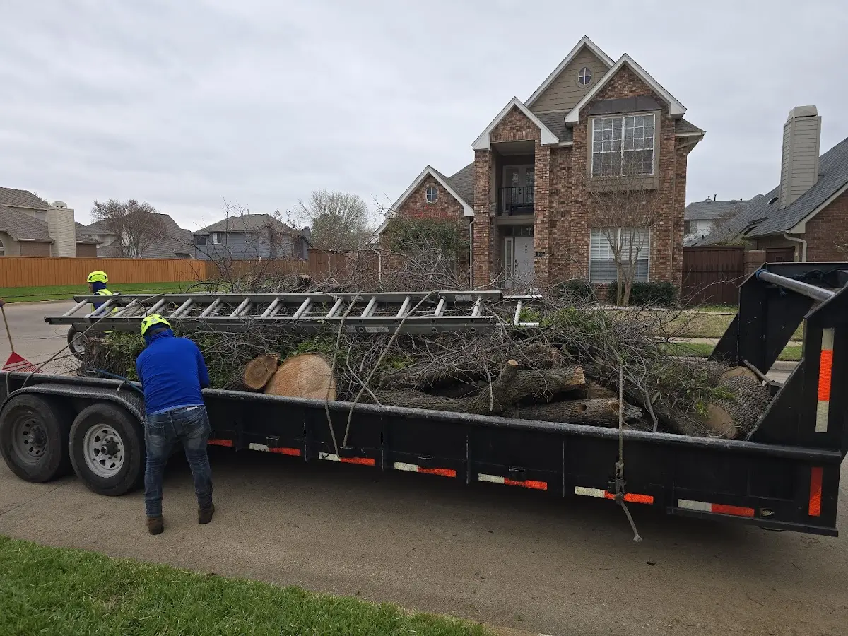 Expert Lot Clearing with proper safety equipment in Mauldin